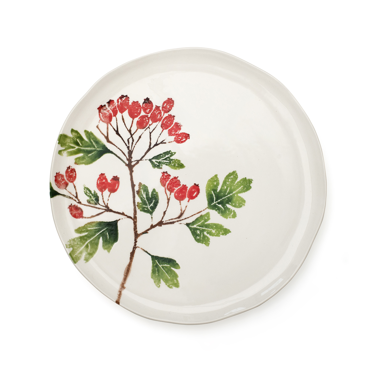 DINNER PLATE HAWTHORN